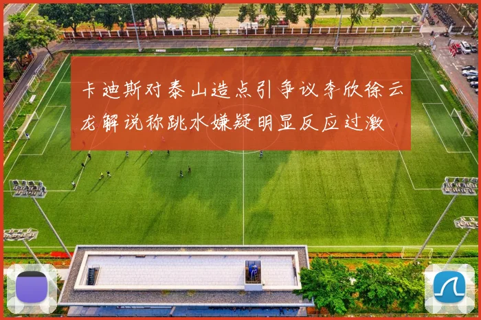 卡迪斯对泰山造点引争议李欣徐云龙解说称跳水嫌疑明显反应过激